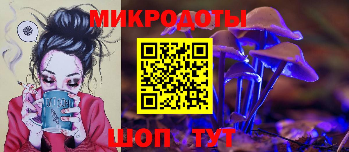 Псилоцибиновые грибы Psilocybe  Вход с VPN  Углич  Псилоцибиновые грибы прущие грибы 